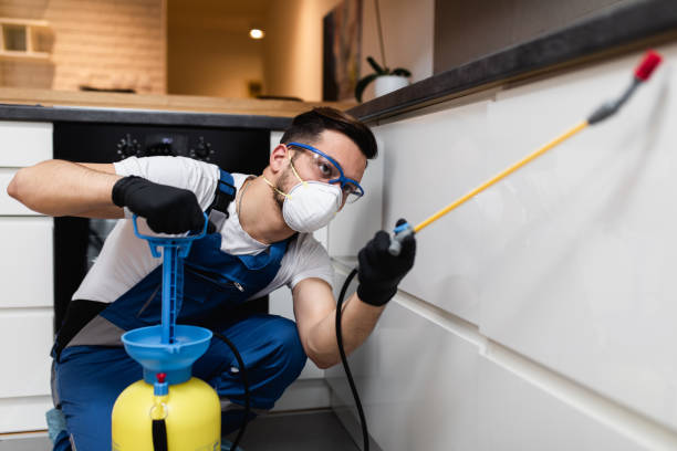 Best Flea Control Services  in Glasco, NY
