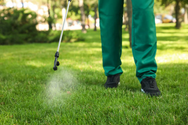 Best Termite Control Services  in Glasco, NY