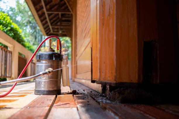 Best Mosquito Control Services  in Glasco, NY