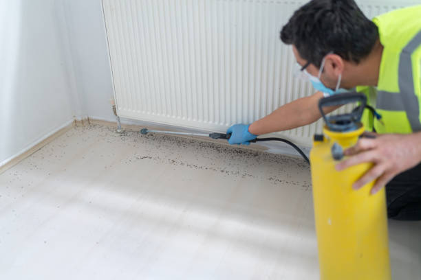 Best Pest Prevention Services  in Glasco, NY